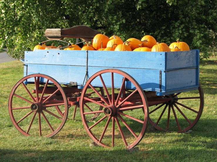 a wagon with pumpkins on the outside