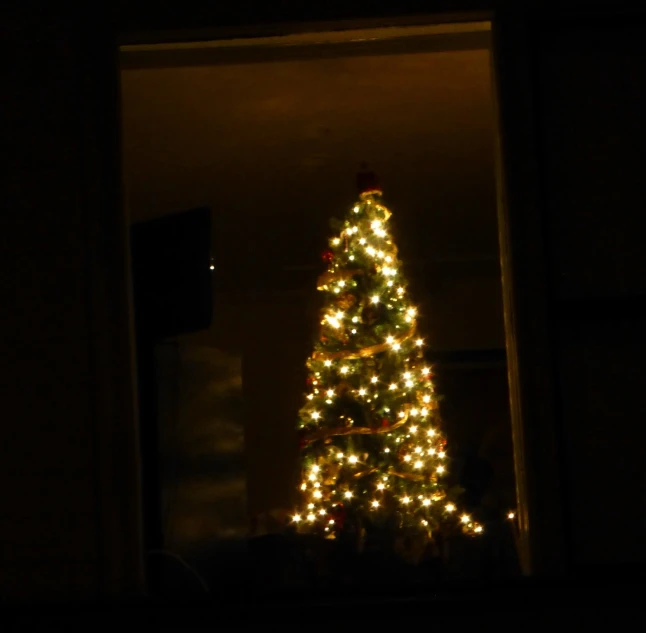 a lit christmas tree seen out of a window