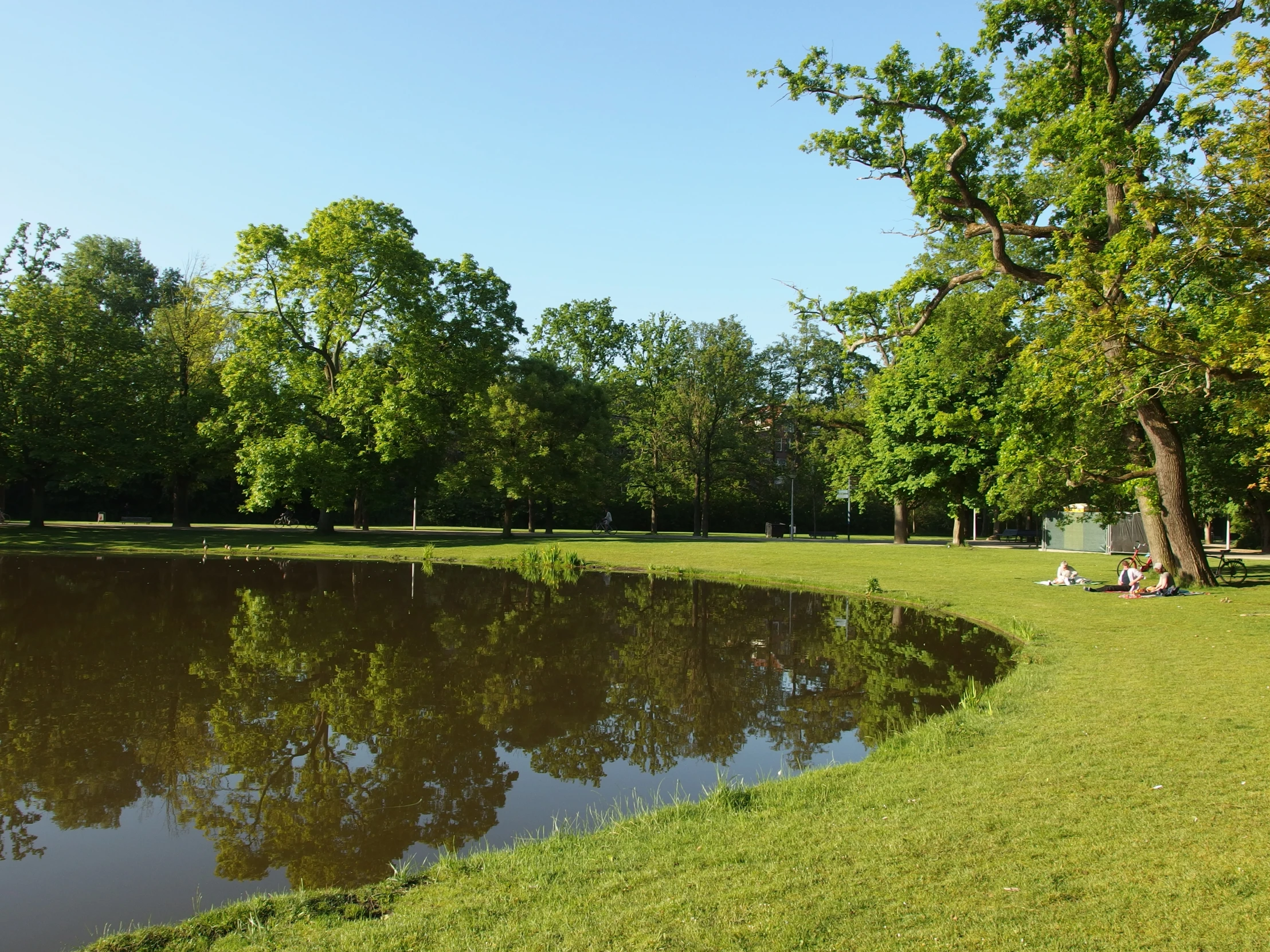 a park that is mostly empty but very green