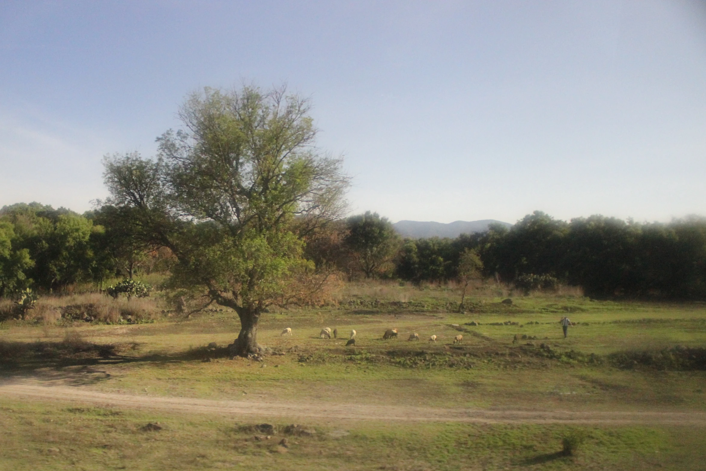 a picture taken outside on a dirt road