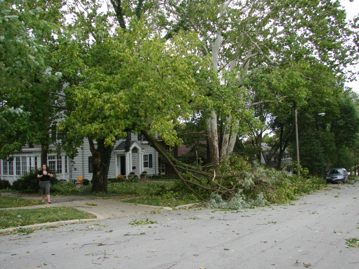 a house that has trees growing next to it