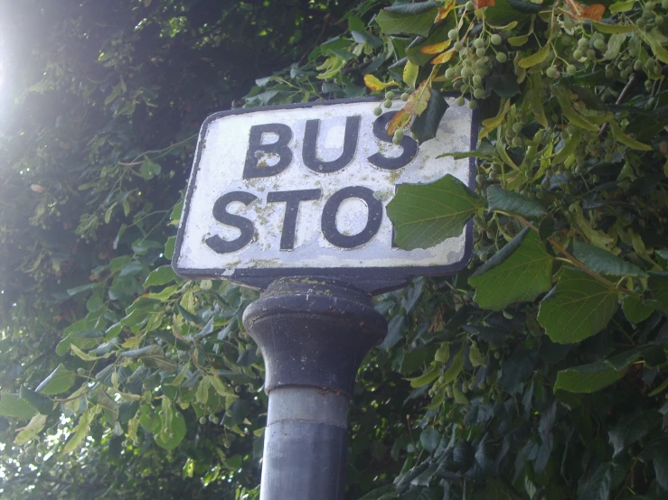 the sign on the pole reads bus stop