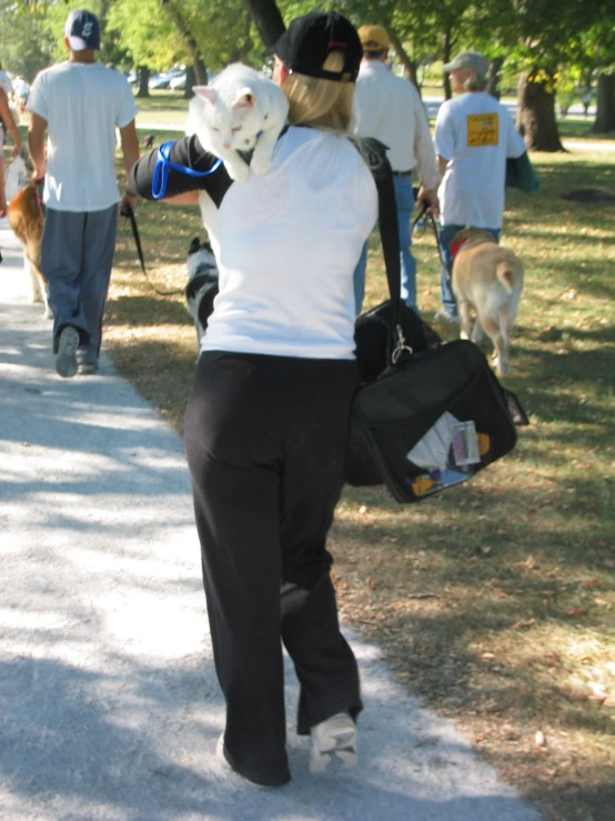 there is a woman carrying bags and walking with her dog