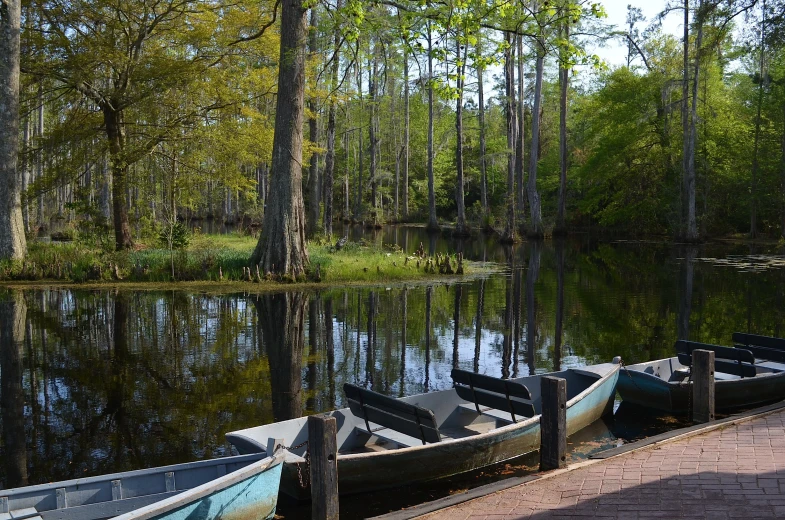 canoes are lined up at the edge of the dock