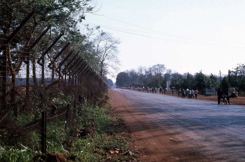 people ride bikes on a narrow road near the woods