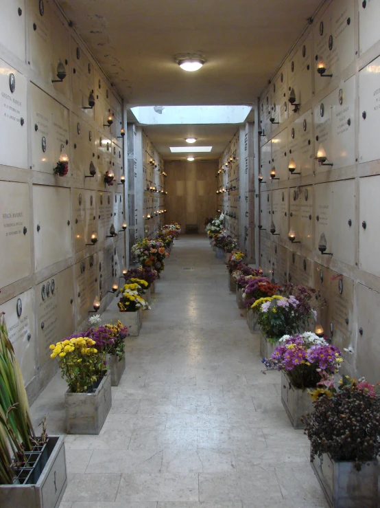 a long narrow hall has flowers in rows