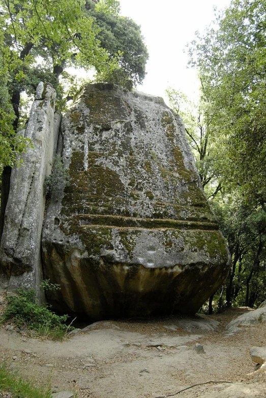 a rock with a tree growing on top and another rock behind it