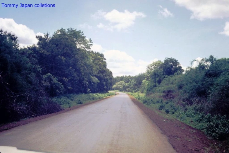 an empty country road near some trees in the woods