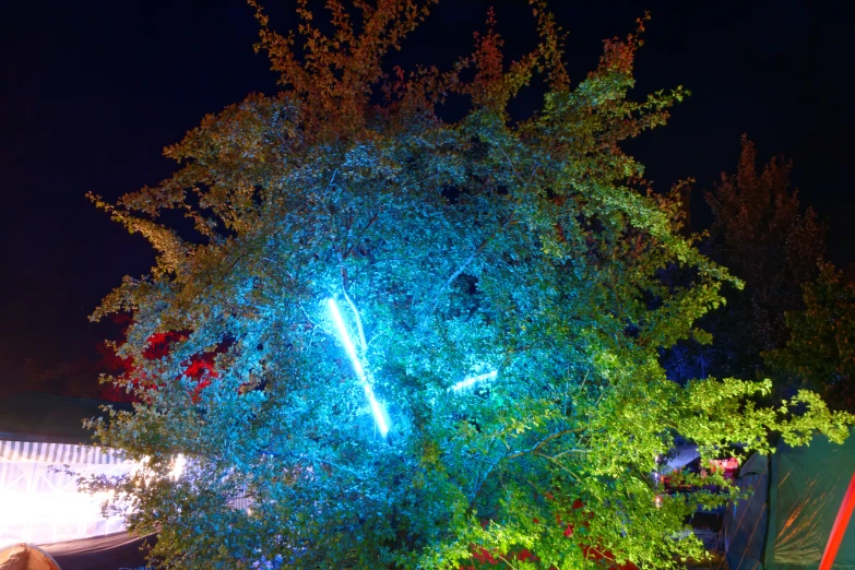 the bright lights of this tree are visible on the evening