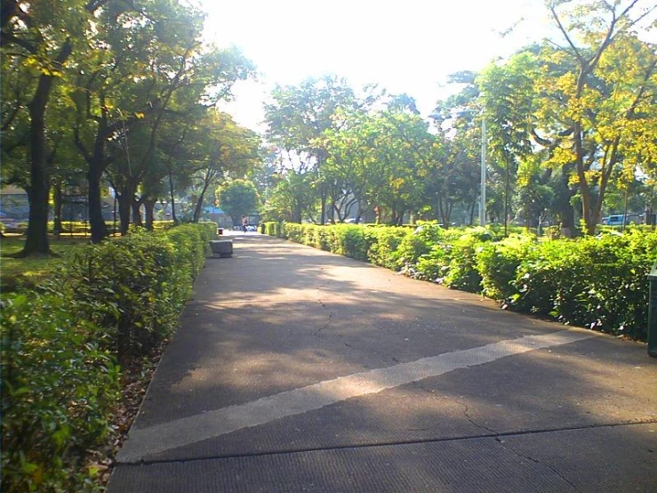 the woman is walking down the street alone