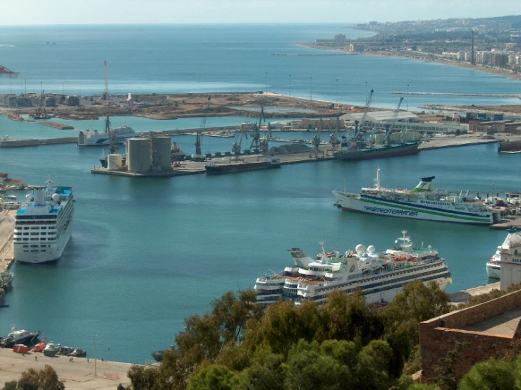 a lot of cruise ships are docked next to each other