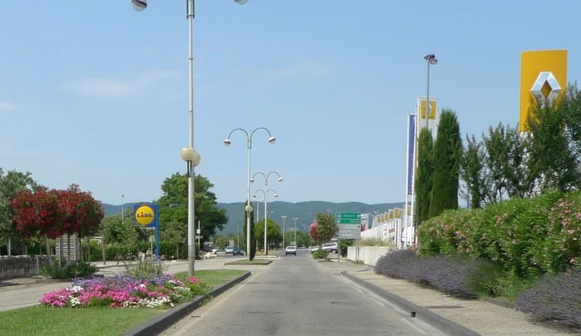 a street with an empty road surrounded by flowers