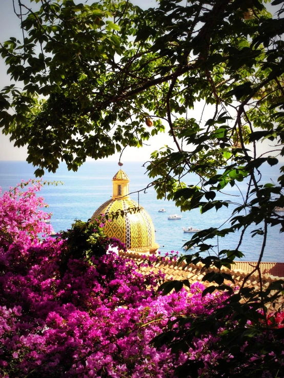 some very pretty flowers by the ocean