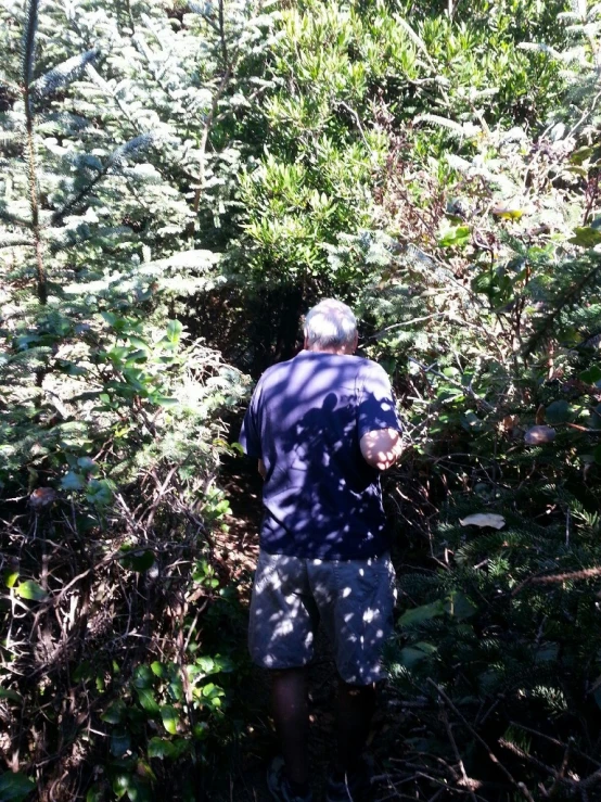 a man standing in the shade of some brush