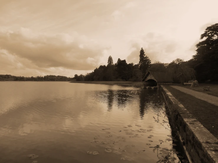 a large body of water surrounded by trees