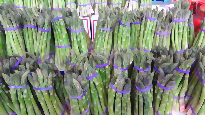 green asparagus are seen in this artistic po