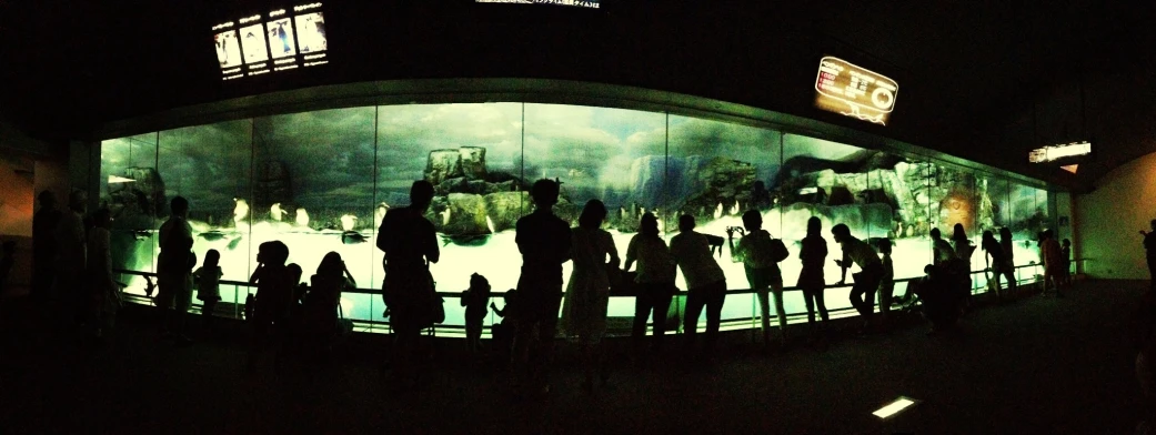 group of people watching display in a museum