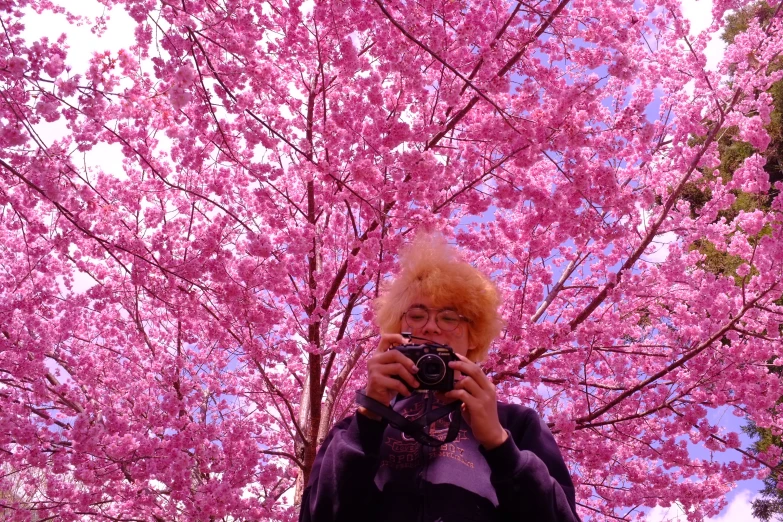 a woman that is holding a camera under some pink trees