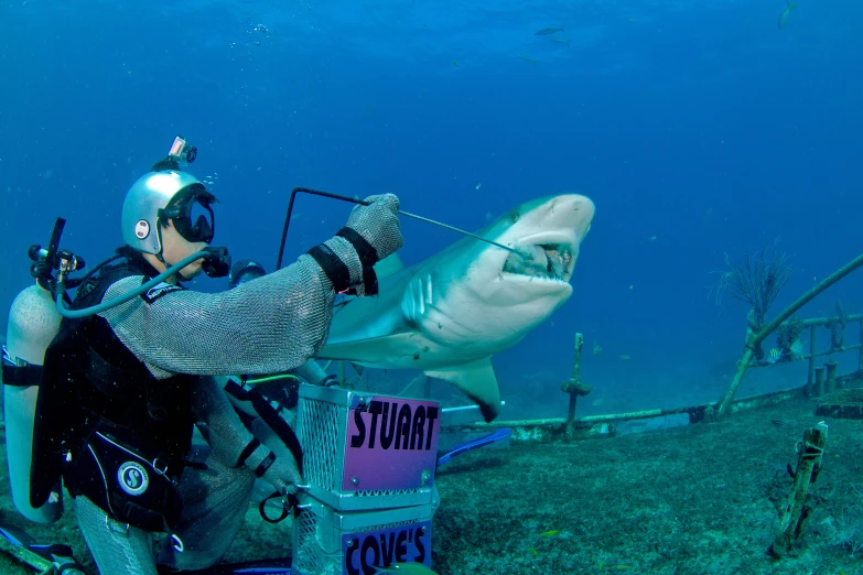 scuba with camera and shark behind a sign on the side of a boat