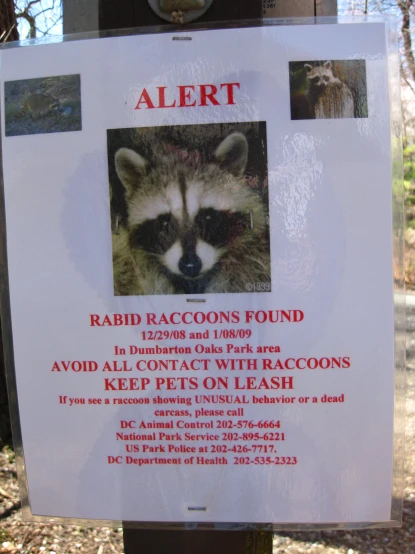 a rac found in the woods is taped to a telephone pole