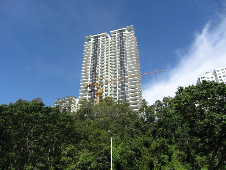 a tall white building stands in the distance from the trees