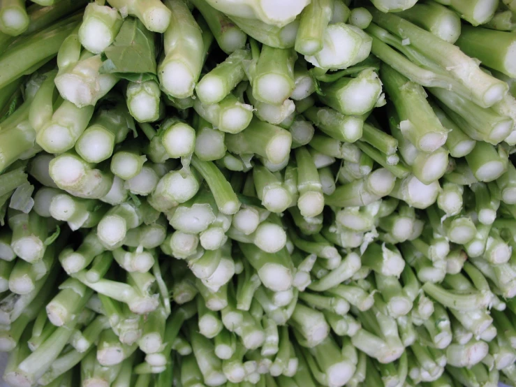 a large stack of asparagus ready to be steamed