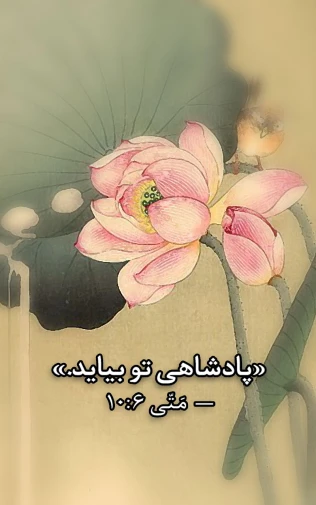 the water lily with an arabic message