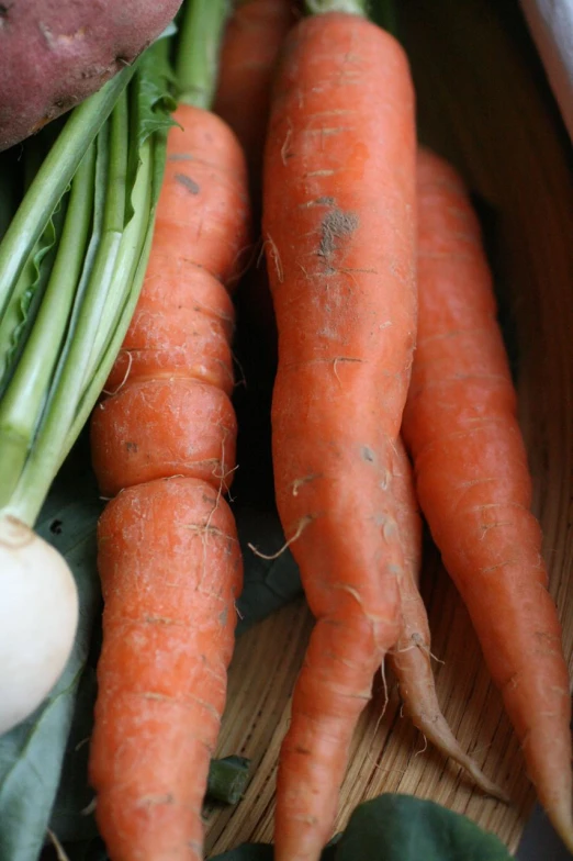 a number of veggies near one another on a surface