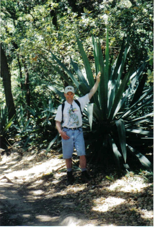 a man in a white shirt and blue shorts standing by a cactus