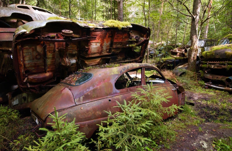 this is an image of a run down car in the woods