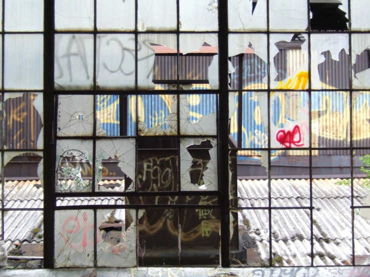 looking out the window at train tracks and graffiti