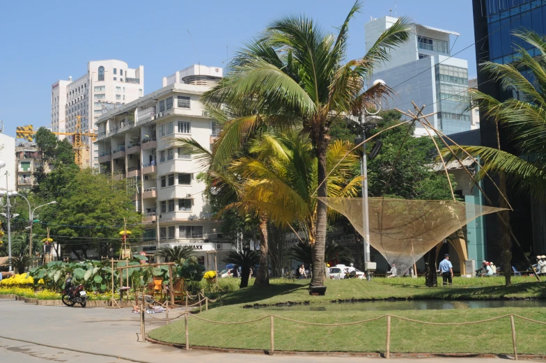 a big green field with palm trees next to buildings