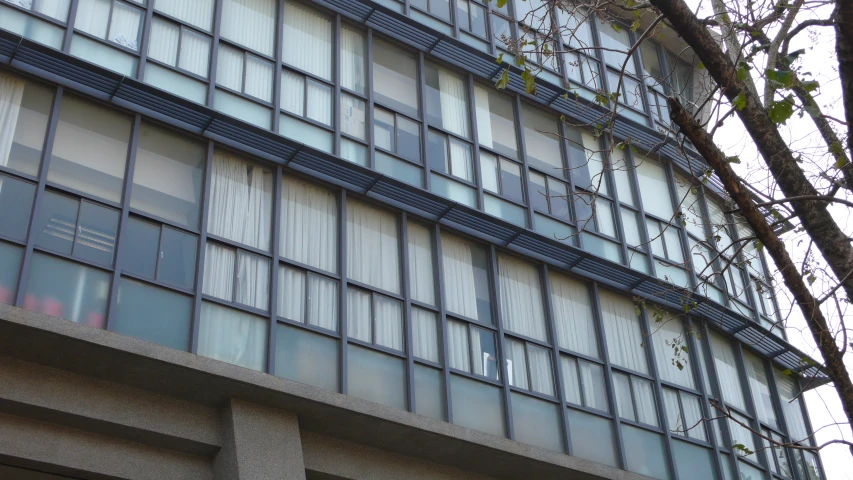 large building with many windows along side of it