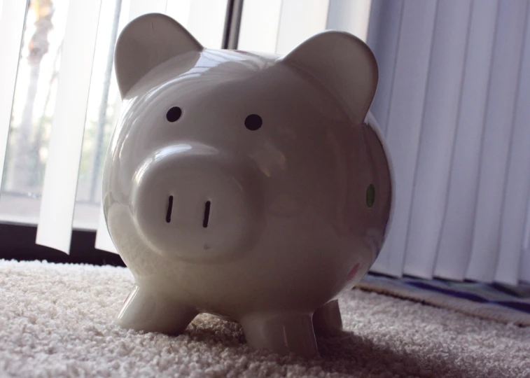 a pig toy sits on the floor in front of a window