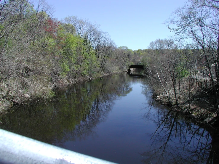 there are many small trees and bushes lining the river