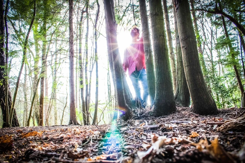 a man standing in the woods next to trees