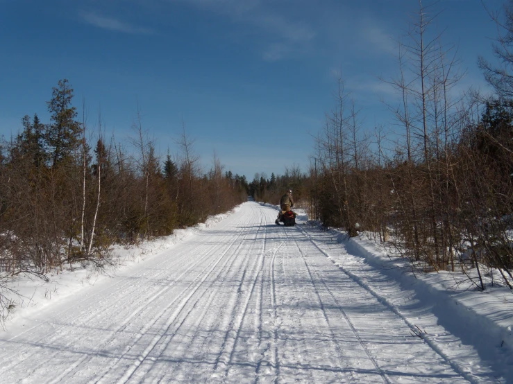 a person on a atv driving down a road through the woods