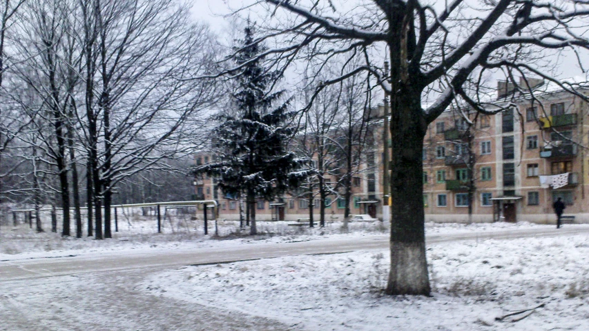 snow covered trees and sidewalk with a s play park