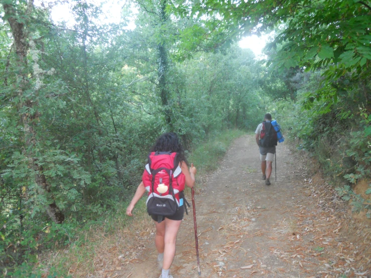 a man and woman hike down a wooded trail