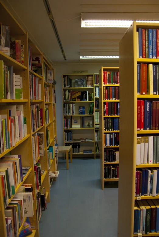many bookshelves lined with books in a liry