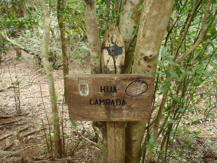 sign posted in the middle of a forest surrounded by tall trees