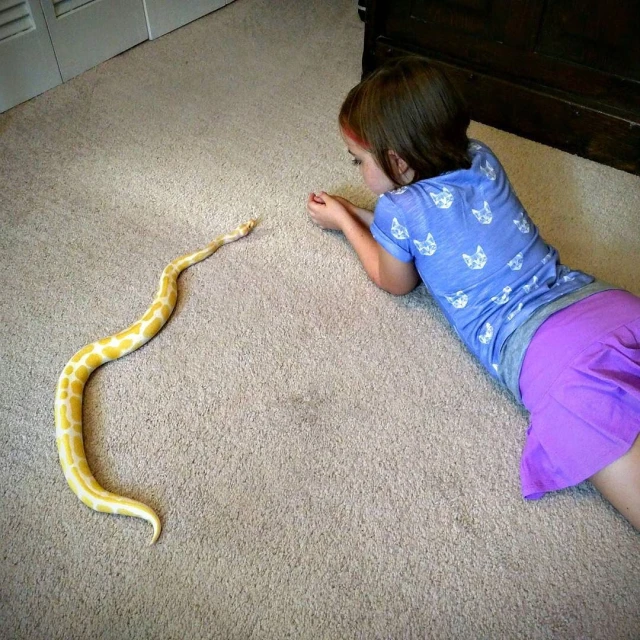 a  laying on the floor with her hand under a snake