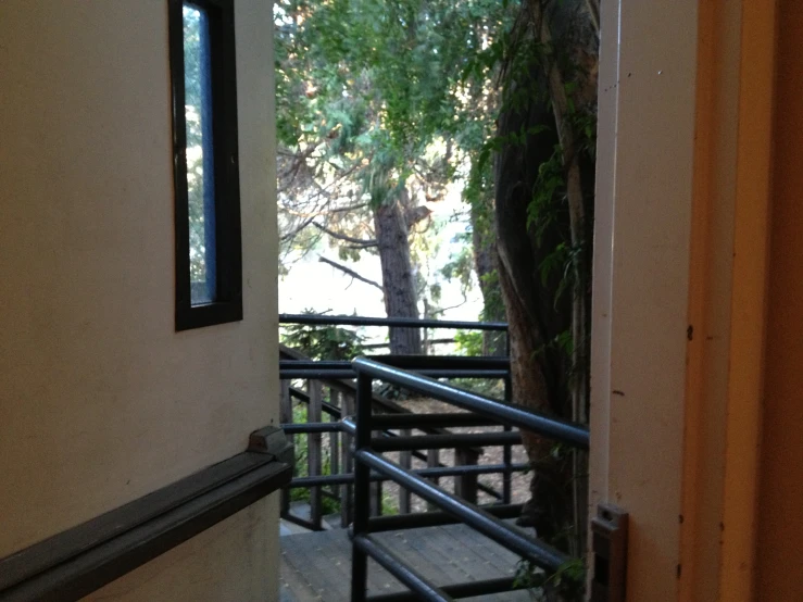 a set of stairs leading to a tree