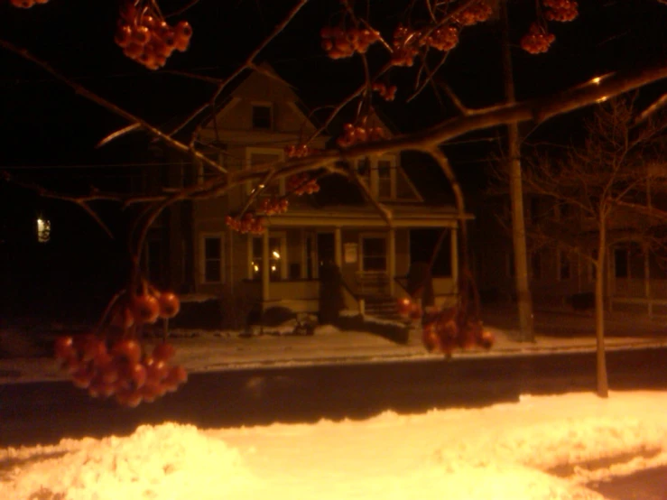 a house that has a bunch of snow on it