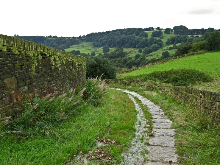 a stone wall in the middle of nowhere