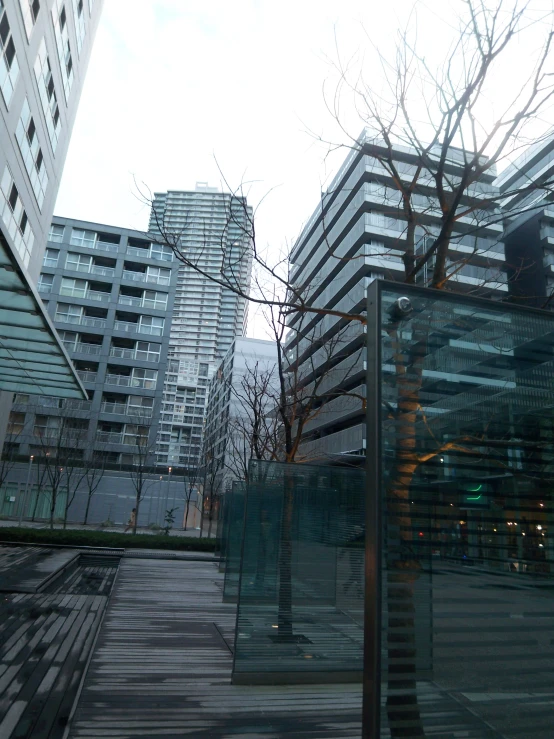 a bunch of glass buildings along a sidewalk