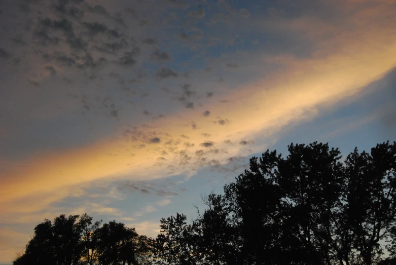 there is a tree silhouette under a dark sky