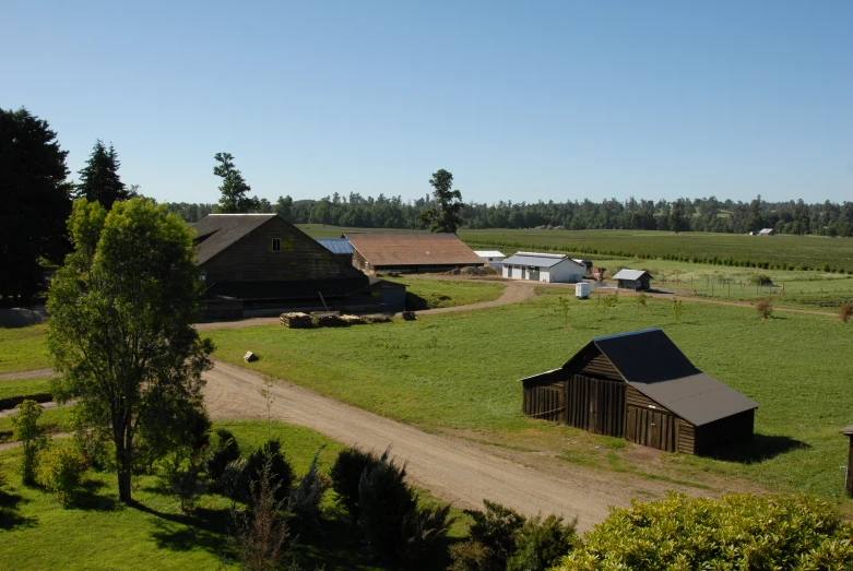 a rural countryside with homes and horses grazing