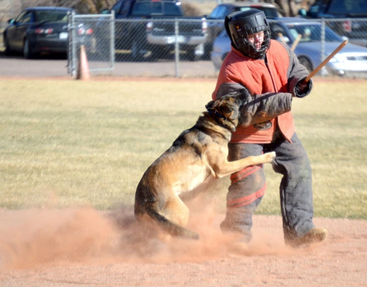 a man holding on to a dog on a baseball field