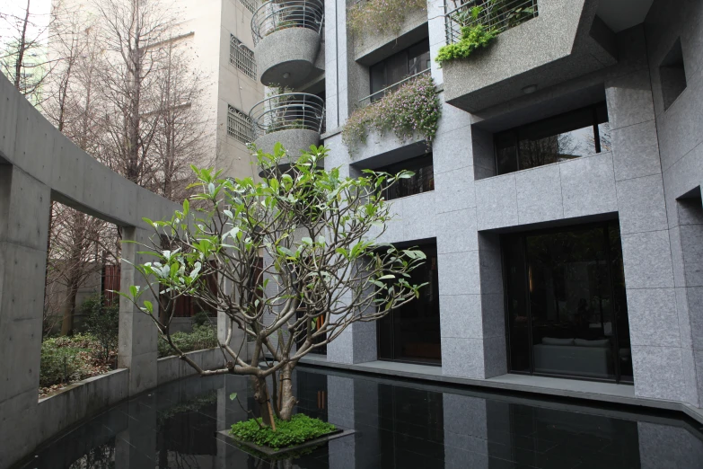 a tree and plant in the center of a pool